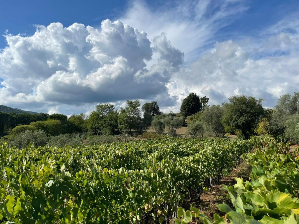 All'Ombra Del Tiglio Pistoia Bagian luar foto